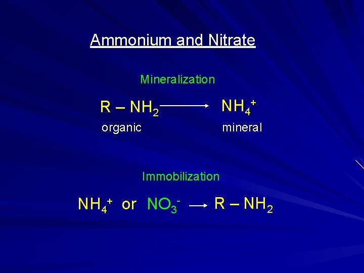 Ammonium and Nitrate Mineralization R – NH 2 NH 4+ organic mineral Immobilization NH Ammonium and Nitrate Mineralization R – NH 2 NH 4+ organic mineral Immobilization NH