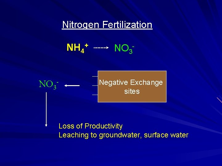 Nitrogen Fertilization NH 4+ NO 3 - NO 3 Negative Exchange sites Loss of Nitrogen Fertilization NH 4+ NO 3 - NO 3 Negative Exchange sites Loss of