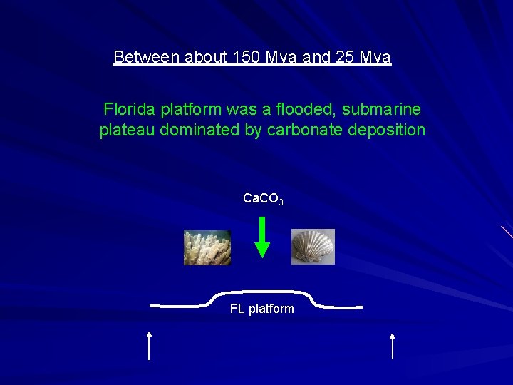 Between about 150 Mya and 25 Mya Florida platform was a flooded, submarine plateau