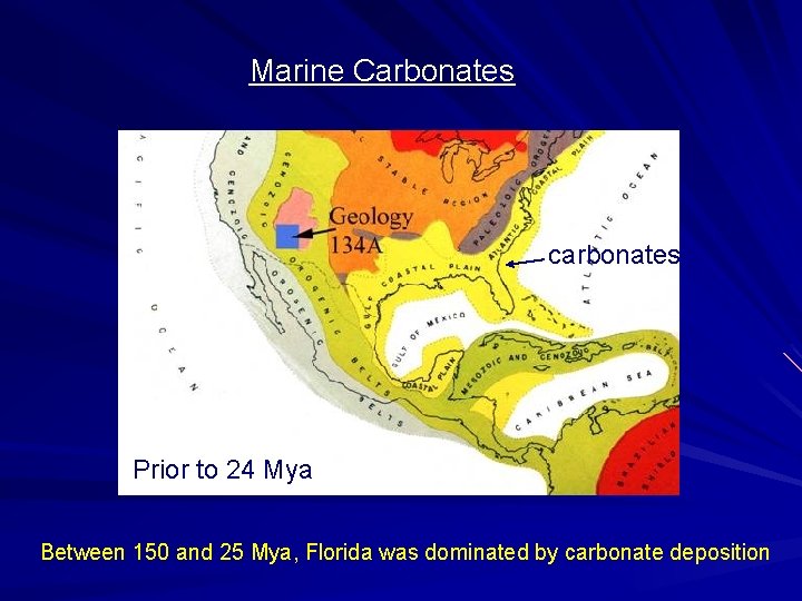Marine Carbonates carbonates Prior to 24 Mya Between 150 and 25 Mya, Florida was Marine Carbonates carbonates Prior to 24 Mya Between 150 and 25 Mya, Florida was