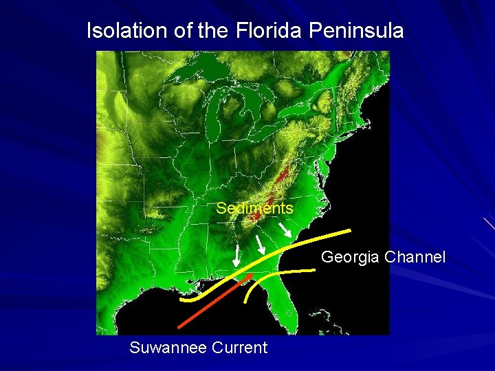 Isolation of the Florida Peninsula Sediments Georgia Channel Suwannee Current 