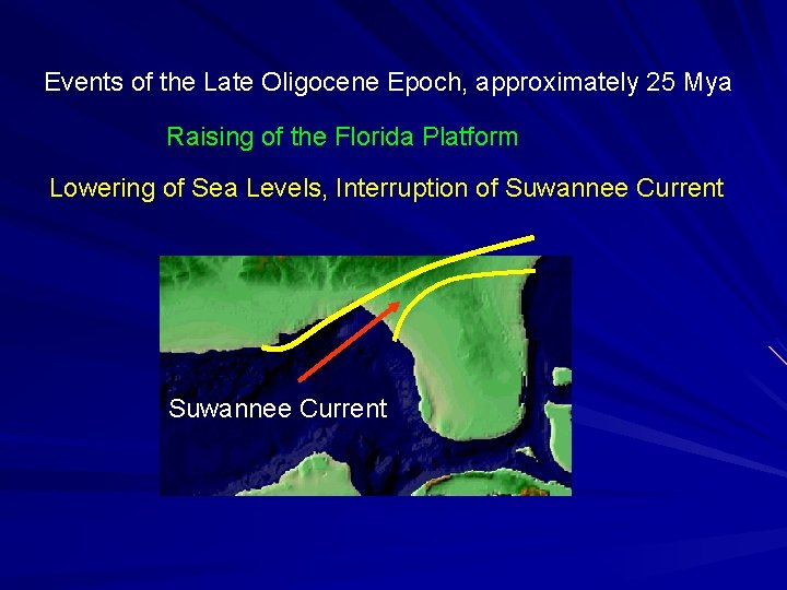 Events of the Late Oligocene Epoch, approximately 25 Mya Raising of the Florida Platform Events of the Late Oligocene Epoch, approximately 25 Mya Raising of the Florida Platform