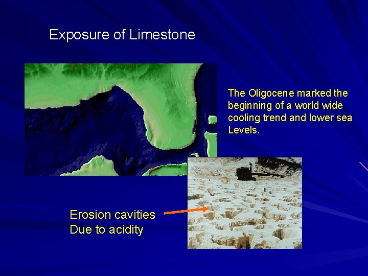 Exposure of Limestone The Oligocene marked the beginning of a world wide cooling trend Exposure of Limestone The Oligocene marked the beginning of a world wide cooling trend