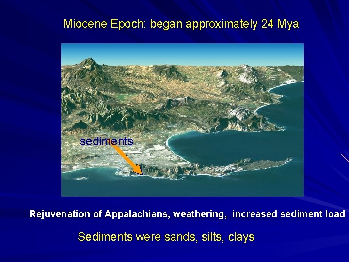 Miocene Epoch: began approximately 24 Mya sediments Rejuvenation of Appalachians, weathering, increased sediment load