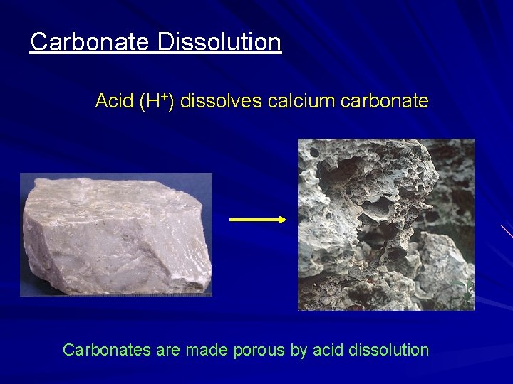 Carbonate Dissolution Acid (H+) dissolves calcium carbonate Carbonates are made porous by acid dissolution Carbonate Dissolution Acid (H+) dissolves calcium carbonate Carbonates are made porous by acid dissolution