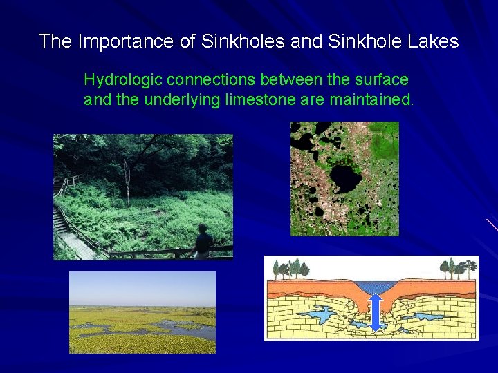 The Importance of Sinkholes and Sinkhole Lakes Hydrologic connections between the surface and the The Importance of Sinkholes and Sinkhole Lakes Hydrologic connections between the surface and the