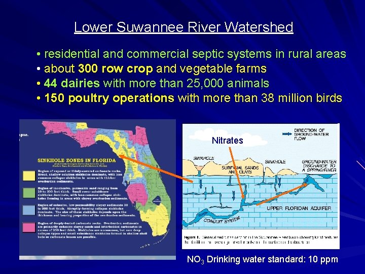 Lower Suwannee River Watershed • residential and commercial septic systems in rural areas • Lower Suwannee River Watershed • residential and commercial septic systems in rural areas •