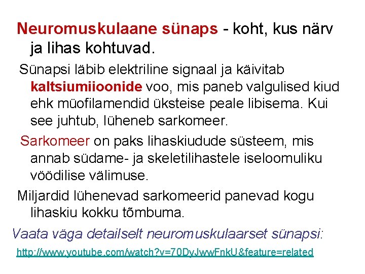 Neuromuskulaane sünaps - koht, kus närv ja lihas kohtuvad. Sünapsi läbib elektriline signaal ja