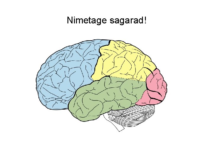 Nimetage sagarad! 