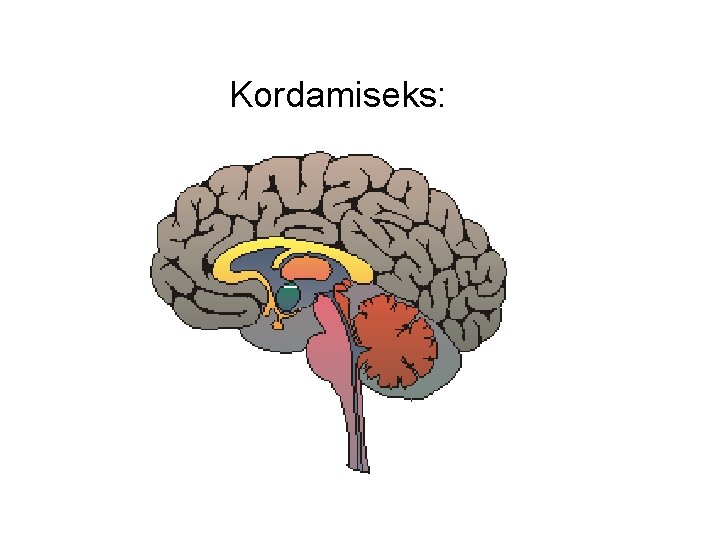 Kordamiseks: 