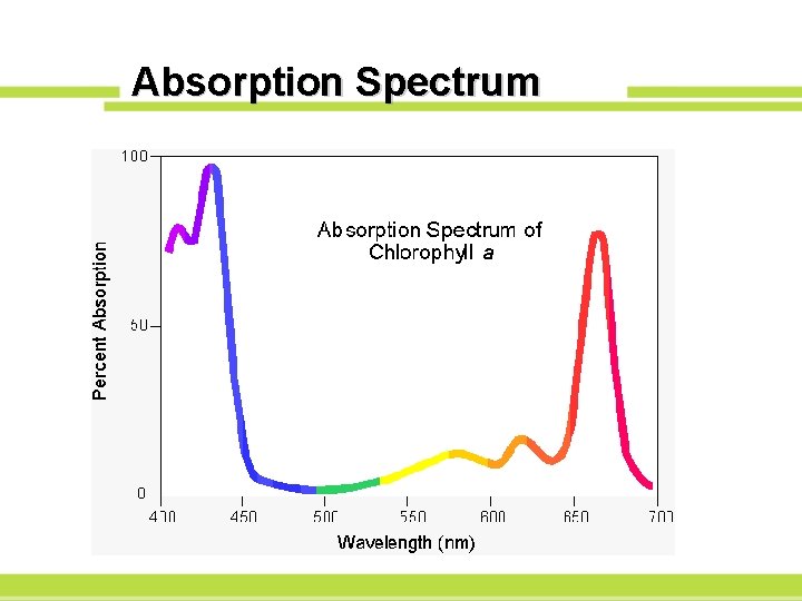 Absorption Spectrum 