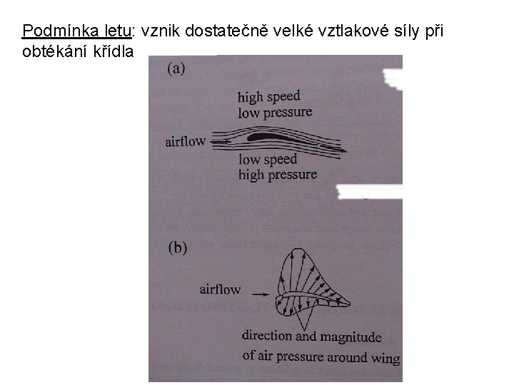 Podmínka letu: vznik dostatečně velké vztlakové síly při obtékání křídla 