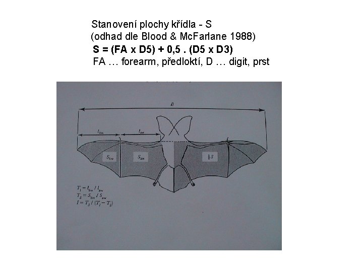 Stanovení plochy křídla - S (odhad dle Blood & Mc. Farlane 1988) S =