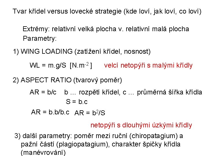 Tvar křídel versus lovecké strategie (kde loví, jak loví, co loví) Extrémy: relativní velká