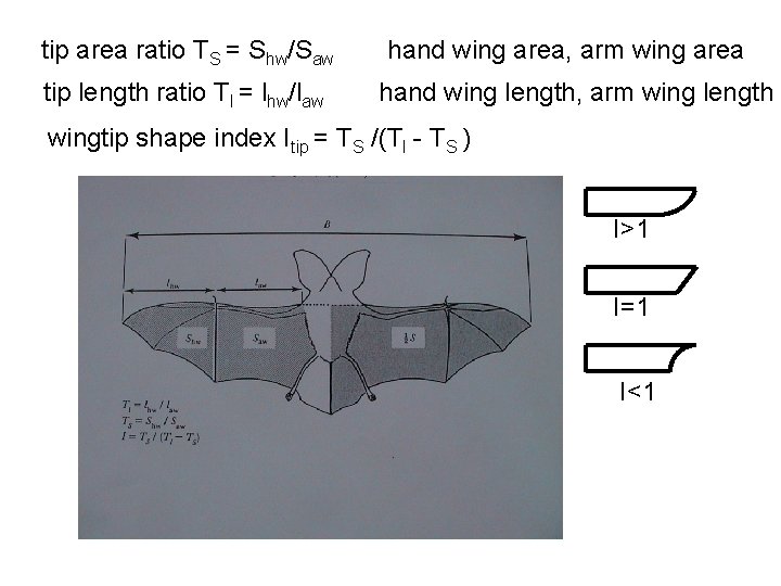tip area ratio TS = Shw/Saw tip length ratio Tl = lhw/law hand wing