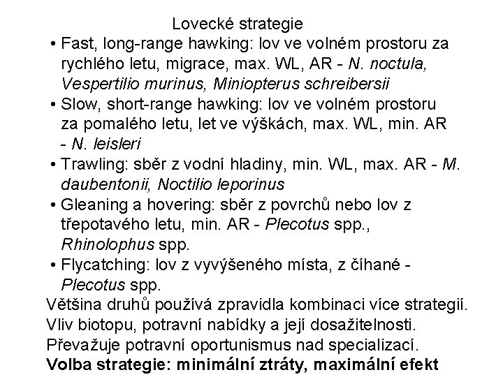 Lovecké strategie • Fast, long-range hawking: lov ve volném prostoru za rychlého letu, migrace,