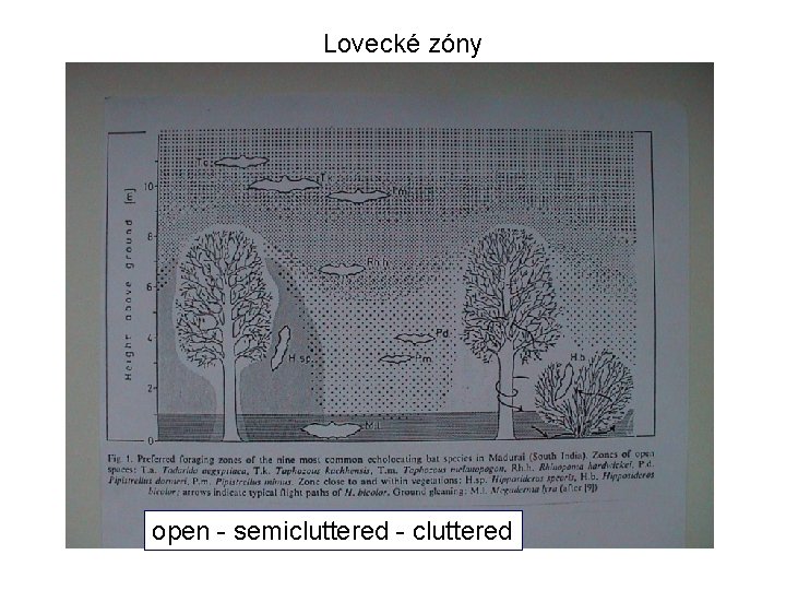 Lovecké zóny open - semicluttered - cluttered 