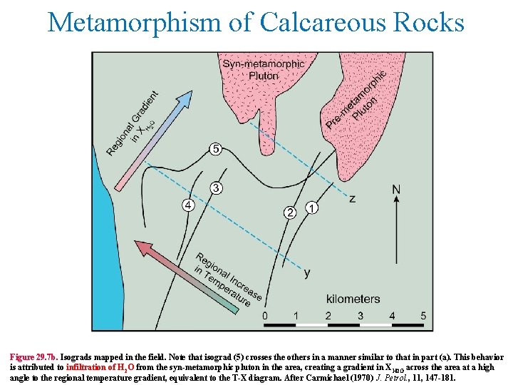 Metamorphism of Calcareous Rocks Figure 29. 7 b. Isograds mapped in the field. Note