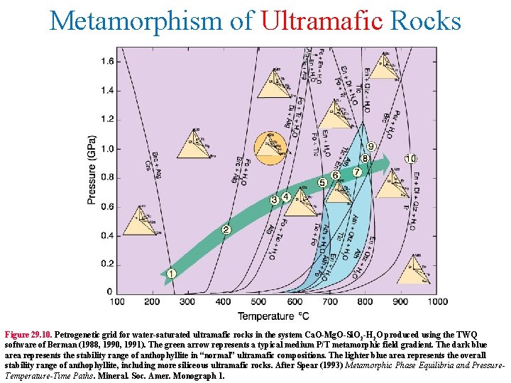Metamorphism of Ultramafic Rocks Figure 29. 10. Petrogenetic grid for water-saturated ultramafic rocks in