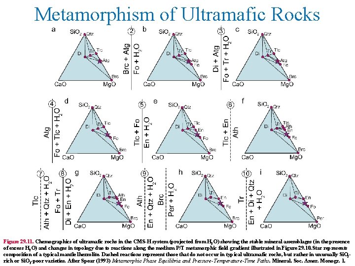 Metamorphism of Ultramafic Rocks Figure 29. 11. Chemographics of ultramafic rocks in the CMS-H