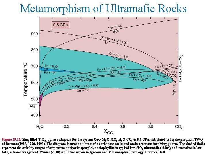 Metamorphism of Ultramafic Rocks Figure 29. 12. Simplified T-XCO 2 phase diagram for the