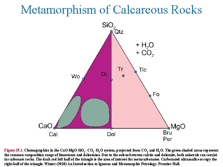 Metamorphism of Calcareous Rocks Figure 29. 1. Chemographics in the Ca. O-Mg. O-Si. O