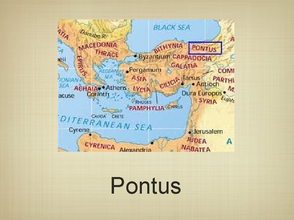 Pontus 