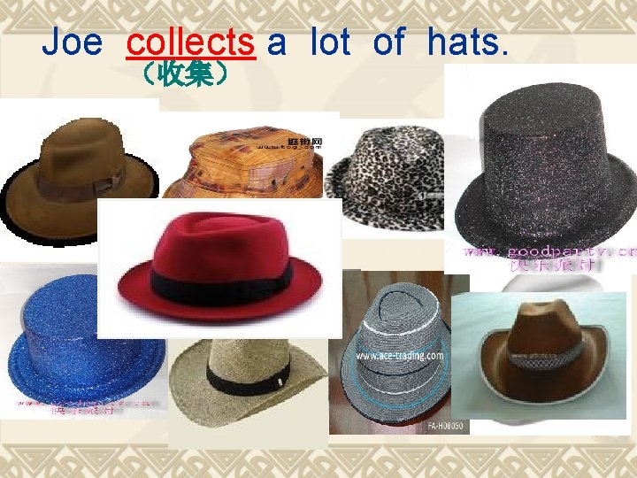 Joe collects a lot of hats. （收集） 