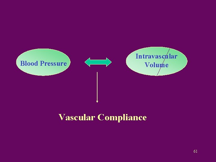 Blood Pressure Intravascular Volume Vascular Compliance 61 