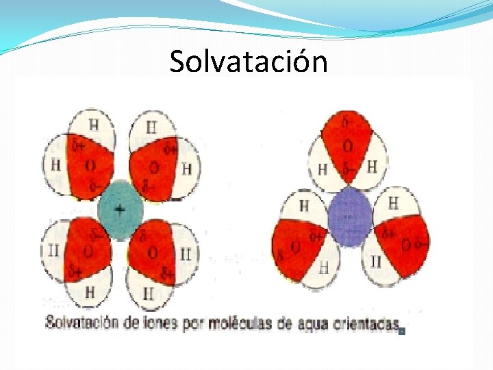 Solvatación 