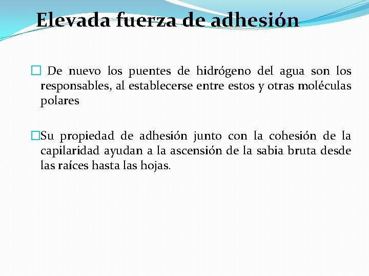 Elevada fuerza de adhesión � De nuevo los puentes de hidrógeno del agua son