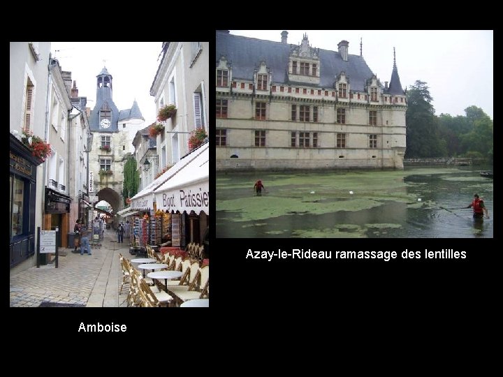 Azay-le-Rideau ramassage des lentilles Amboise 