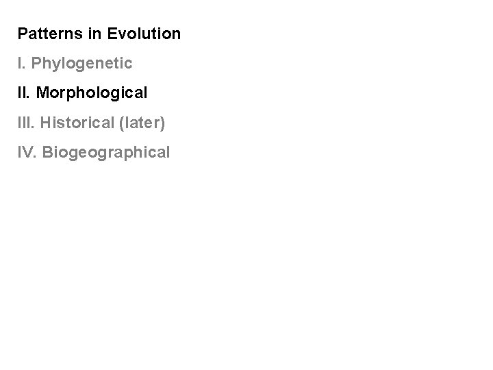 Patterns in Evolution I. Phylogenetic II. Morphological III. Historical (later) IV. Biogeographical 