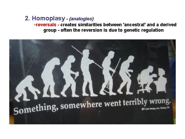 2. Homoplasy - (analogies) • reversals - creates similarities between 'ancestral' and a derived