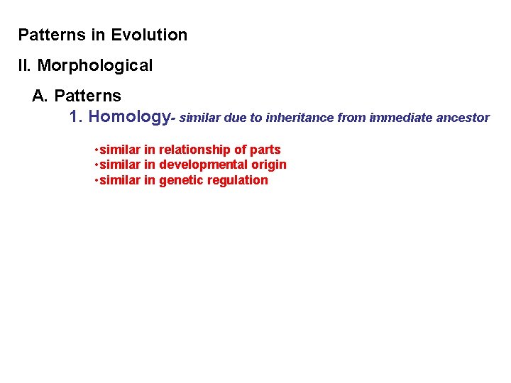 Patterns in Evolution II. Morphological A. Patterns 1. Homology- similar due to inheritance from