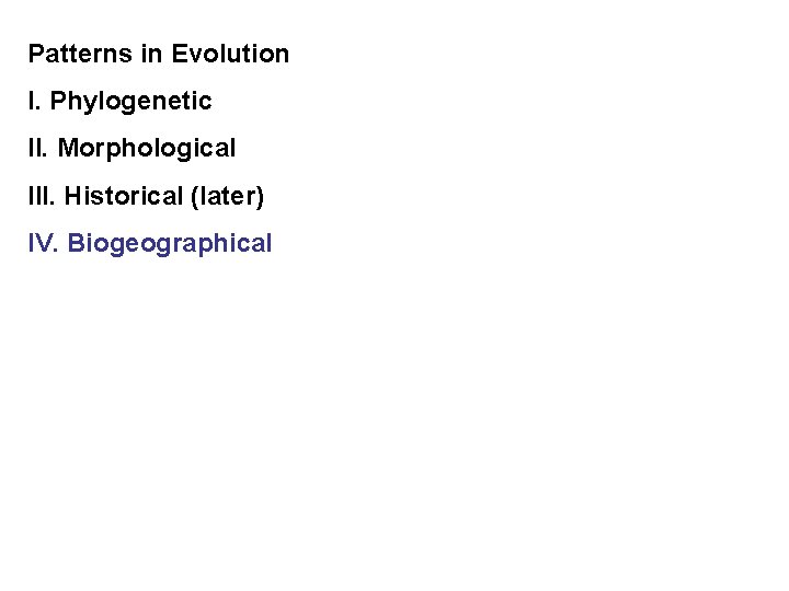 Patterns in Evolution I. Phylogenetic II. Morphological III. Historical (later) IV. Biogeographical 