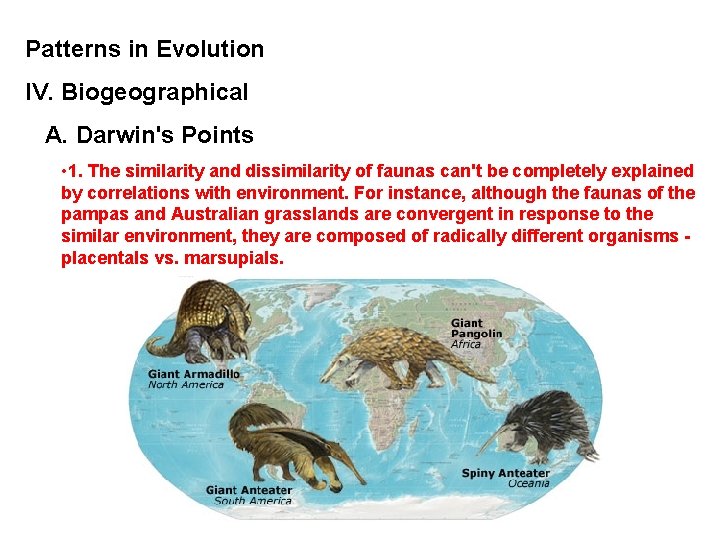 Patterns in Evolution IV. Biogeographical A. Darwin's Points • 1. The similarity and dissimilarity