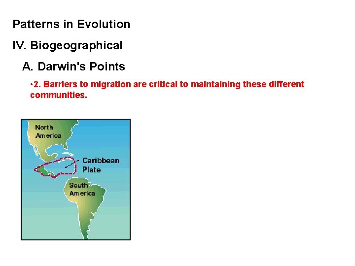 Patterns in Evolution IV. Biogeographical A. Darwin's Points • 2. Barriers to migration are