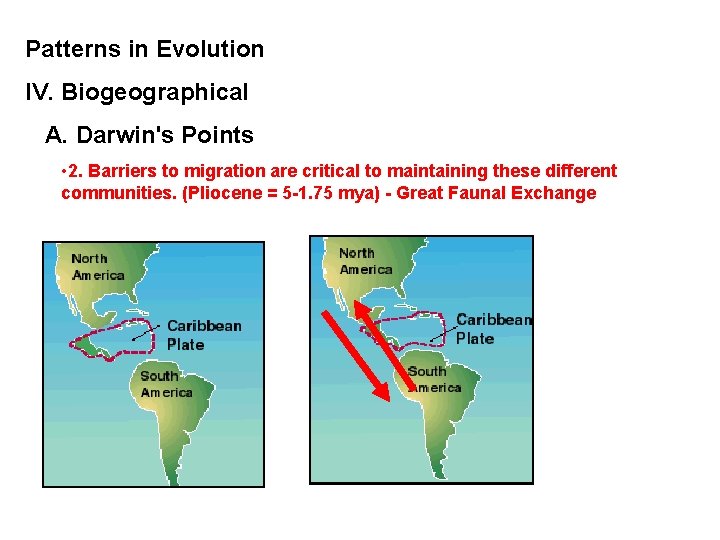 Patterns in Evolution IV. Biogeographical A. Darwin's Points • 2. Barriers to migration are