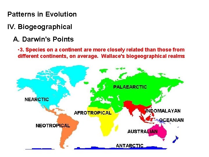 Patterns in Evolution IV. Biogeographical A. Darwin's Points • 3. Species on a continent