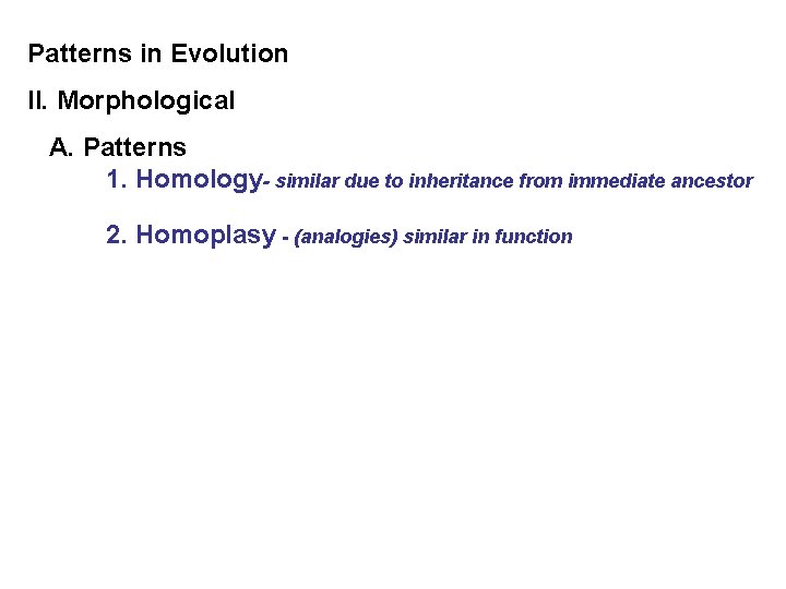 Patterns in Evolution II. Morphological A. Patterns 1. Homology- similar due to inheritance from