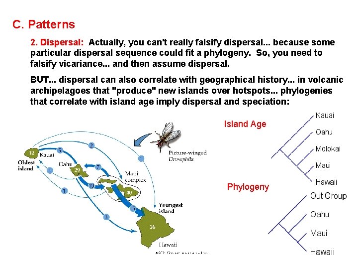 C. Patterns 2. Dispersal: Actually, you can't really falsify dispersal. . . because some