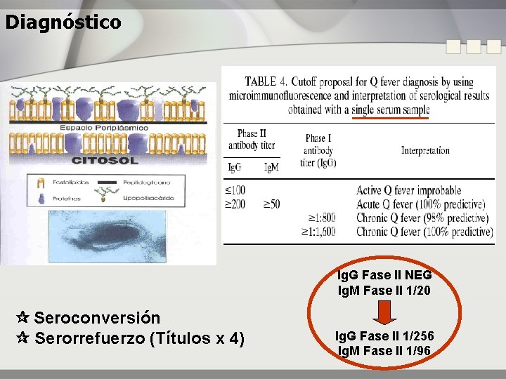 Diagnóstico Ig. G Fase II NEG Ig. M Fase II 1/20 Seroconversión Serorrefuerzo (Títulos