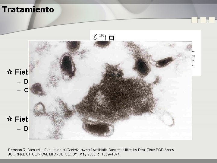 Tratamiento Fiebre Q aguda – Doxiciclina – Otros: Fluorquinolonas, Macrólidos, Rifampicina … Fiebre Q