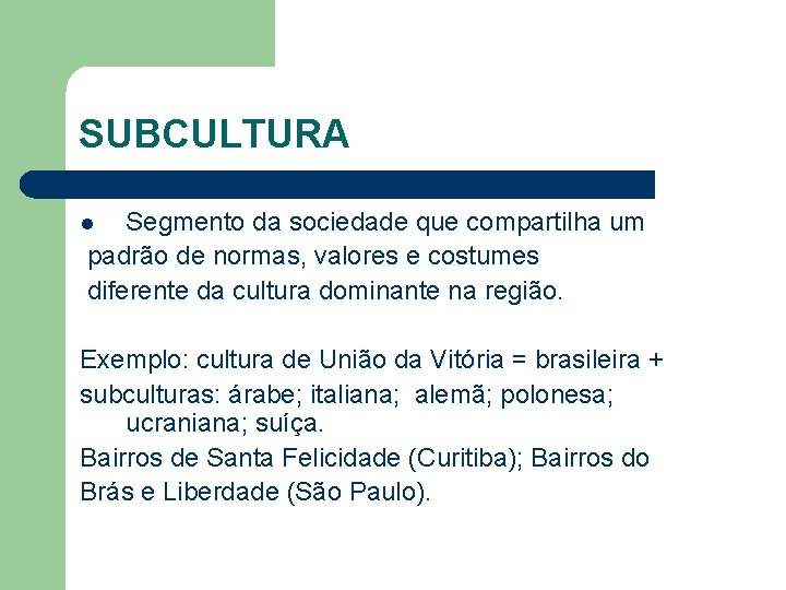 SUBCULTURA Segmento da sociedade que compartilha um padrão de normas, valores e costumes diferente