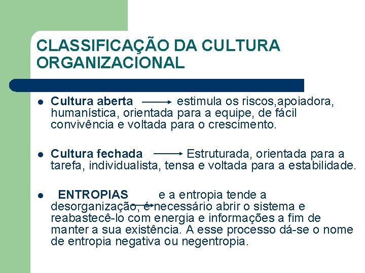 CLASSIFICAÇÃO DA CULTURA ORGANIZACIONAL l Cultura aberta estimula os riscos, apoiadora, humanística, orientada para