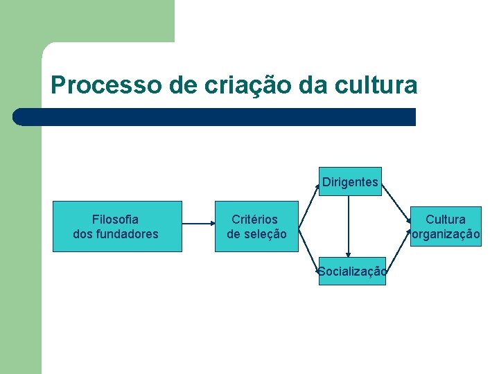 Processo de criação da cultura Dirigentes Filosofia dos fundadores Cultura organização Critérios de seleção