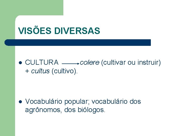 VISÕES DIVERSAS l CULTURA colere (cultivar ou instruir) + cultus (cultivo). l Vocabulário popular;