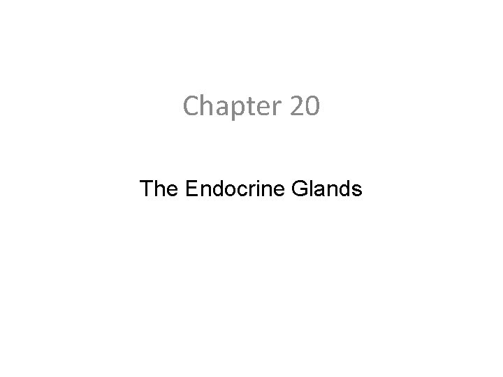 Chapter 20 The Endocrine Glands 