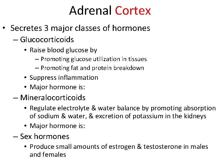 Adrenal Cortex • Secretes 3 major classes of hormones – Glucocorticoids • Raise blood